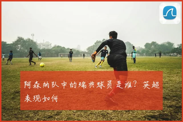 阿森纳队中的瑞典球员是谁？英超表现如何