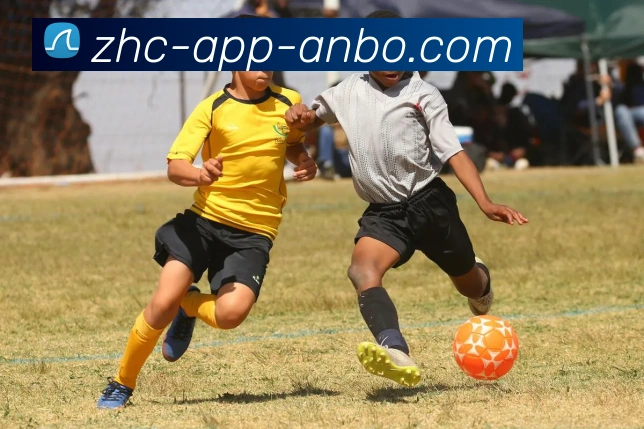 火箭队历年季后赛战绩统计与晋级情况一览